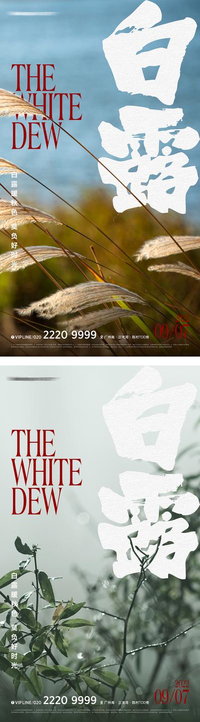 【南门网】广告 海报 地产 白露 节气 霸气 书法 字体 系列