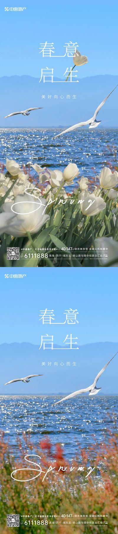 南门网 广告 海报 节气 春分 鲜花 唯美 系列