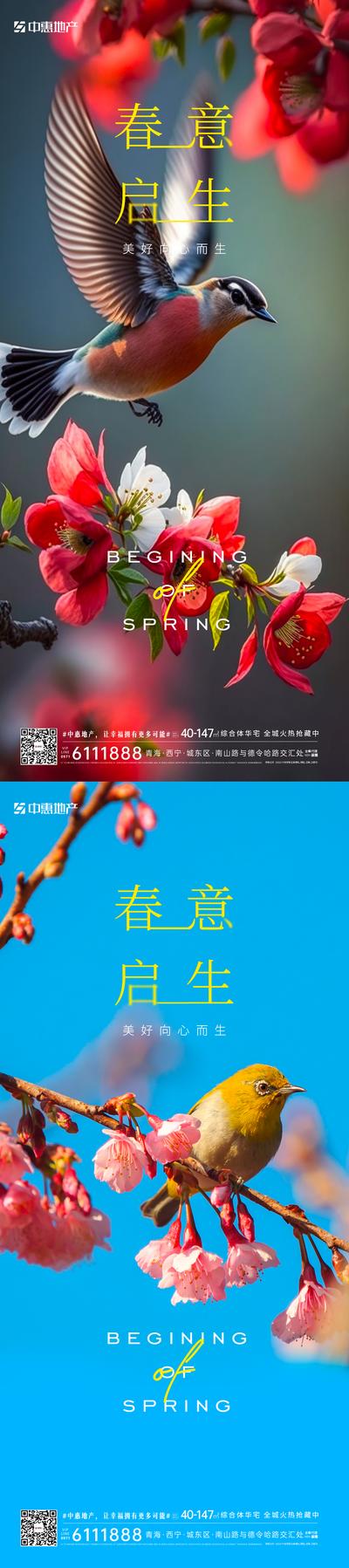 南门网 广告 海报 节气 春分 系列 植物 鲜花