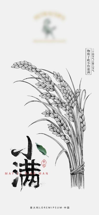 【南门网】海报 二十四节气 小满 稻谷 水稻 水墨 国风