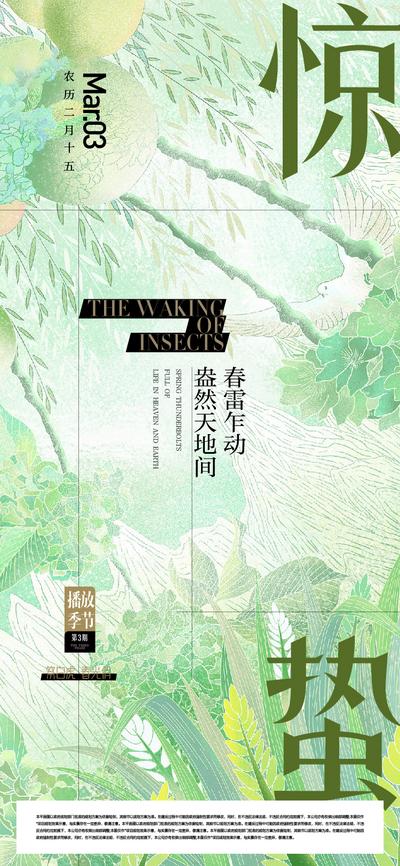 【南门网】海报 二十四节气   惊蛰 春天 绿色