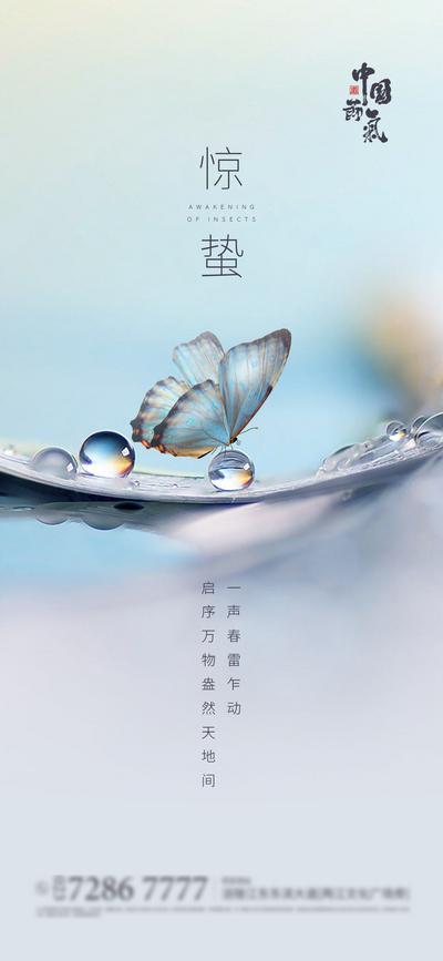 南门网 海报 二十四节气 房地产 惊蛰 蝴蝶 水珠 