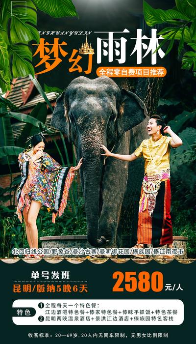 南门网 海报 旅游 云南 西双版纳 梦幻雨林 大象