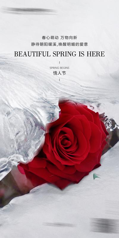 南门网 海报 公历节日 情人节 214 520 玫瑰