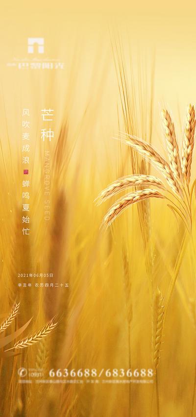 南门网 海报 房地产 二十四节气 芒种 麦子