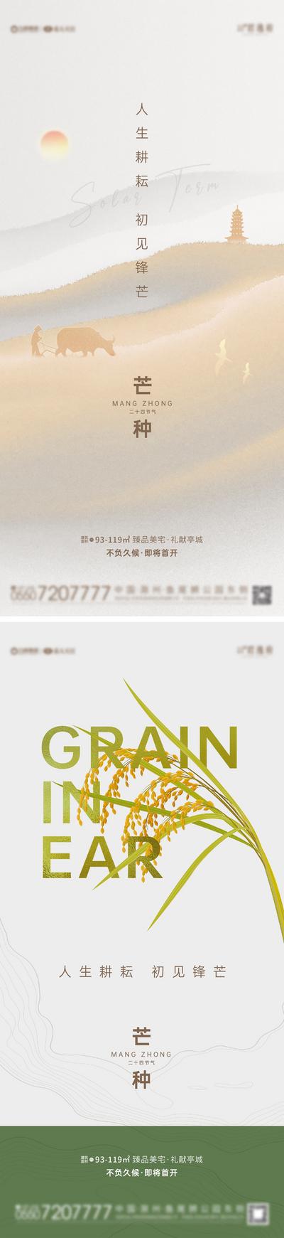 【南门网】海报 房地产 二十四节气 芒种  稻谷 耕种 简约