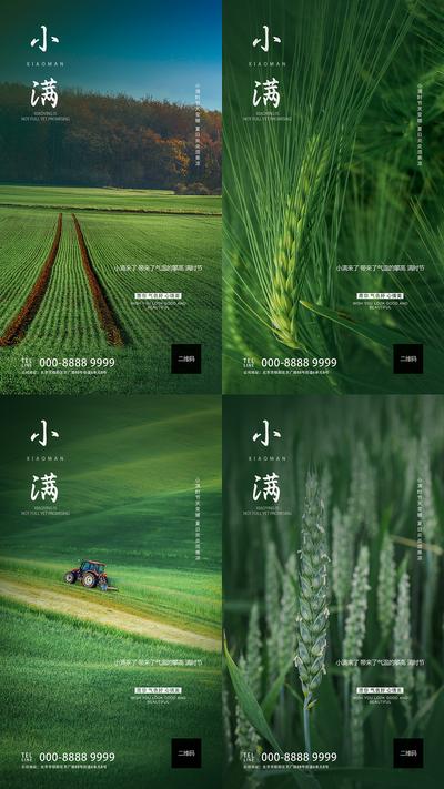 南门网 海报 地产 二十四节气 麦田 小满 自然 植物