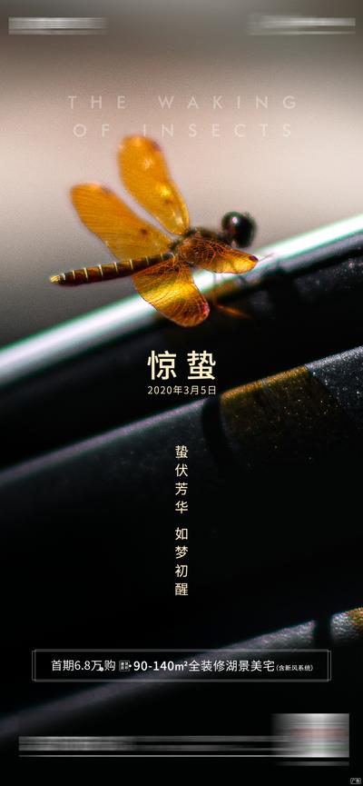 南门网 海报 房地产 惊蛰 二十四节气 蜻蜓