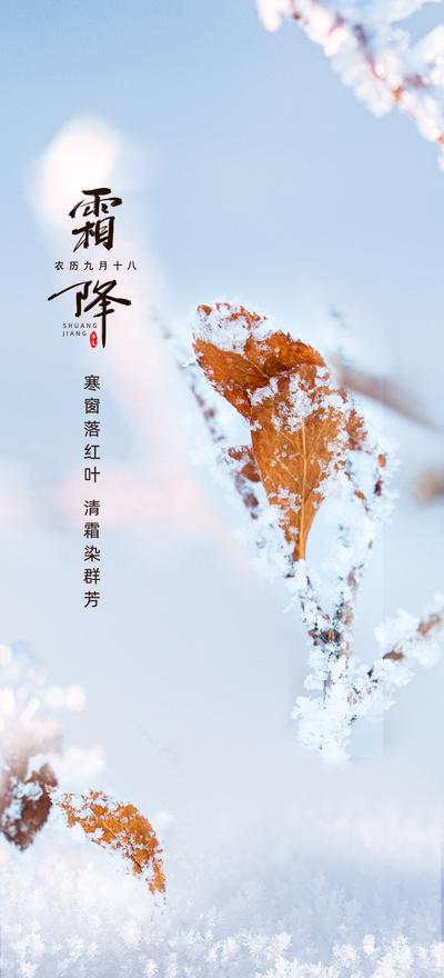 南门网 海报 二十四节气 霜降 秋天 树叶