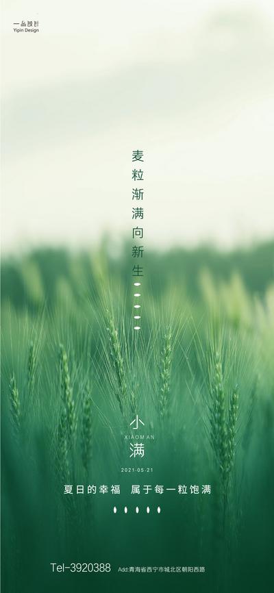 南门网 海报 小满 二十四节气 麦穗 小麦