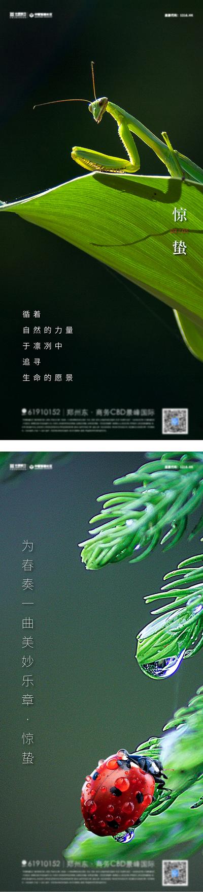 【南门网】海报  二十四节气  惊蛰  昆虫 苏醒 瓢虫 系列