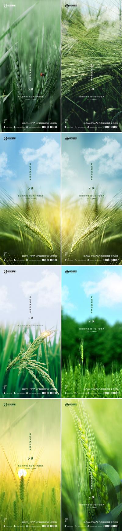 南门网 海报 地产  二十四节气  小满 麦穗 小清新 系列