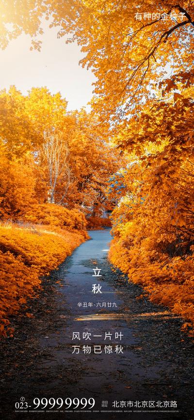 南门网 海报 房地产 二十四节气 立秋 枫叶