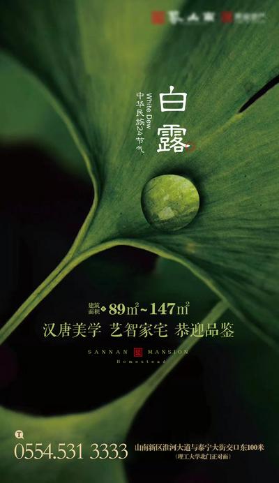 南门网 海报 白露 二十四节气 绿叶 露珠