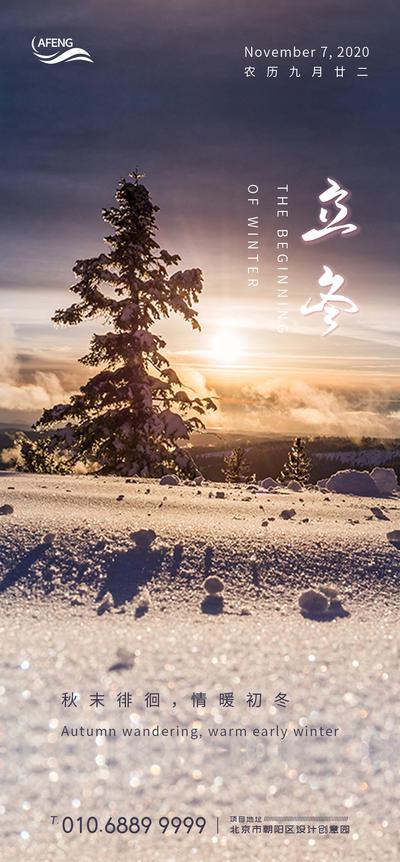 【南门网】海报 二十四节气 立冬 雪地 树 阳光 
