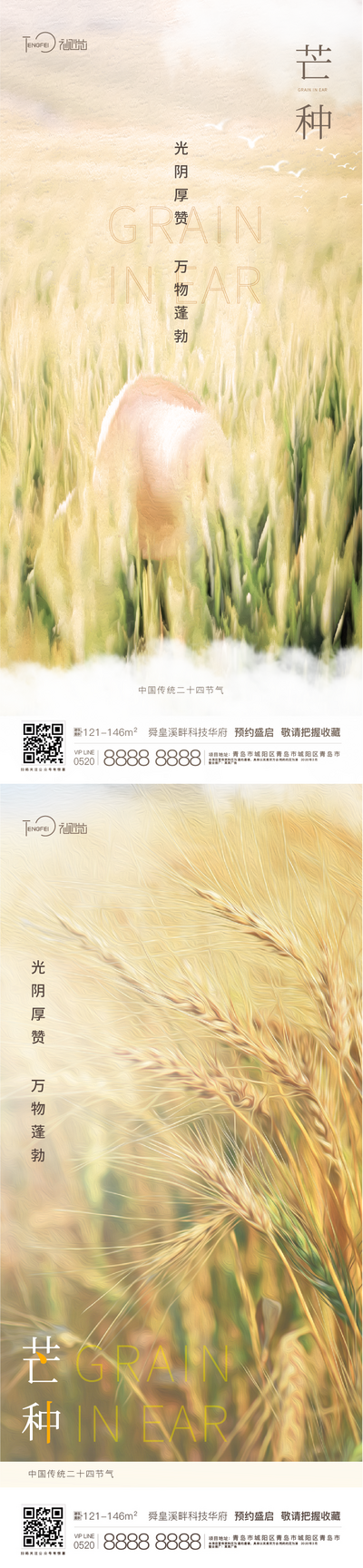南门网 海报 房地产  芒种 二十四节气 麦穗