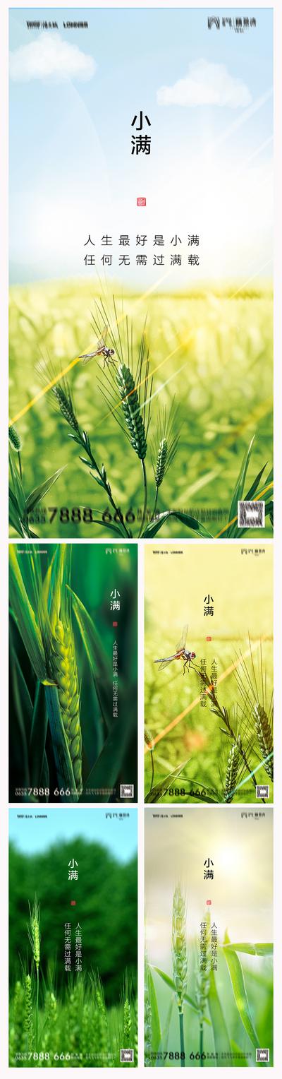 南门网 海报 房地产 二十四节气 小满 麦穗