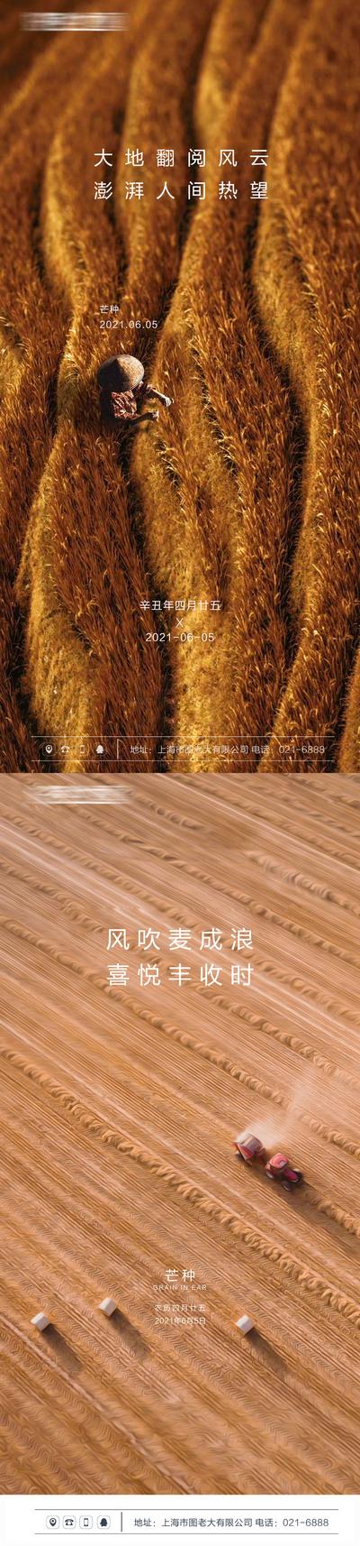 南门网 海报 房地产 二十四节气 芒种 简约 麦穗 系列