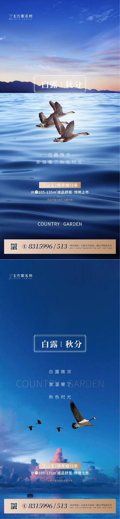 【南门网】海报 地产 二十四节气 白露 秋分 飞鹤 蓝色 价值点 系列 
