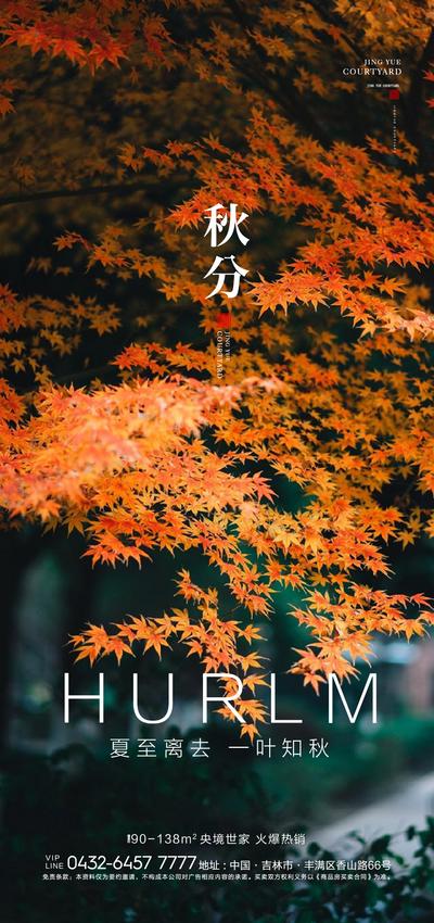 【南门网】海报 房地产 二十四节气 秋分 枫叶