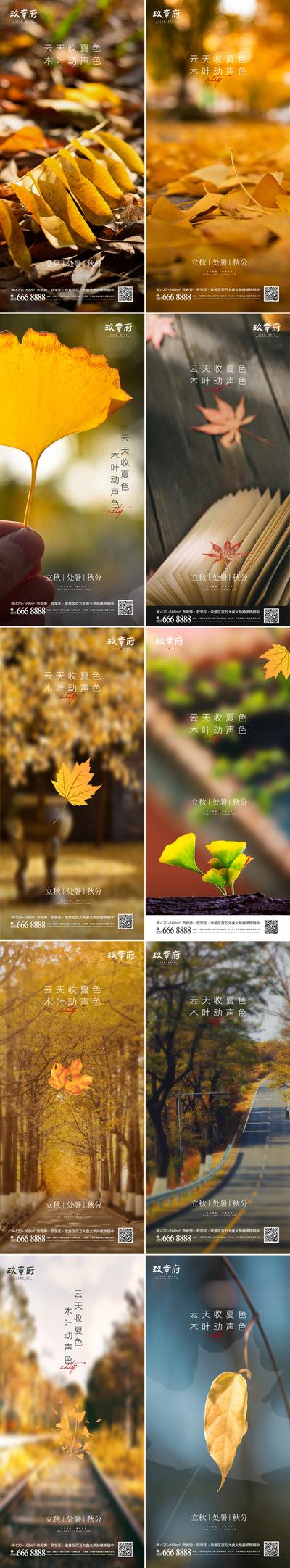 【南门网】海报 二十四节气 立秋 处暑 秋分 树叶 银杏叶 秋天