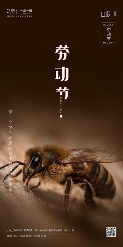 南门网 海报 五一 劳动节 公历节日 蜜蜂