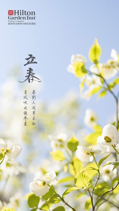 南门网 海报 立春 二十四节气 春天 花朵