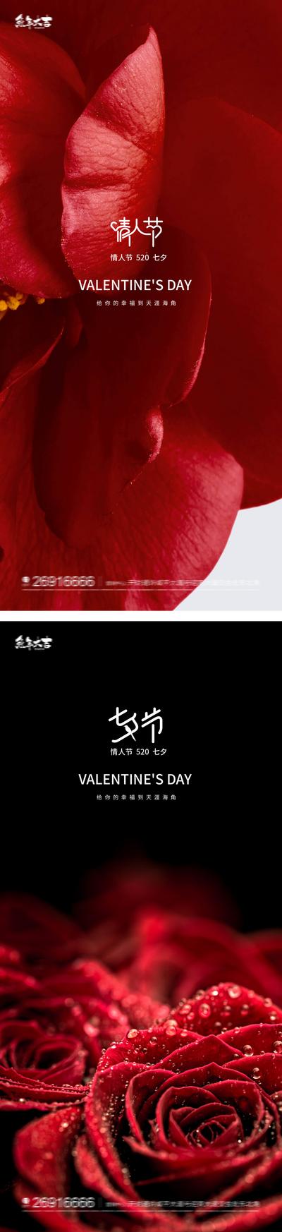 南门网 海报 中国传统节日  七夕 情人节  玫瑰花 创意 系列