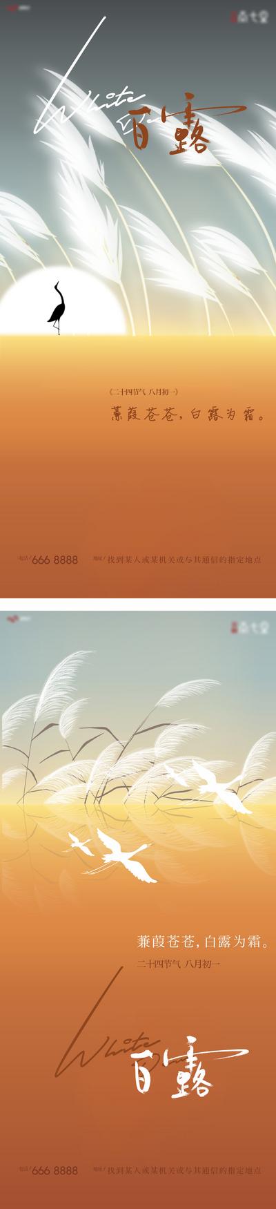【南门网】海报 二十四节气 白露 芦苇 白鹭  系列