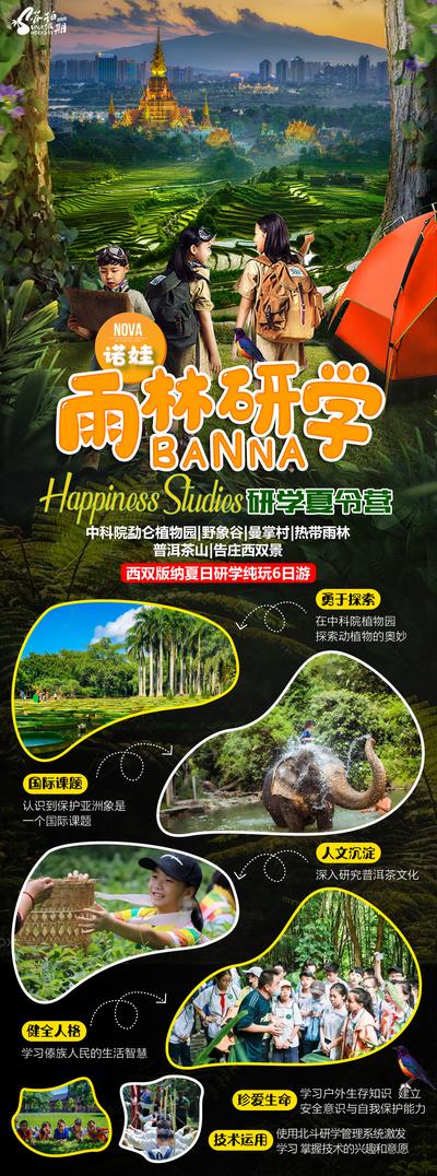 【南门网】海报 旅游 西双版纳 热带雨林 研学 夏令营
