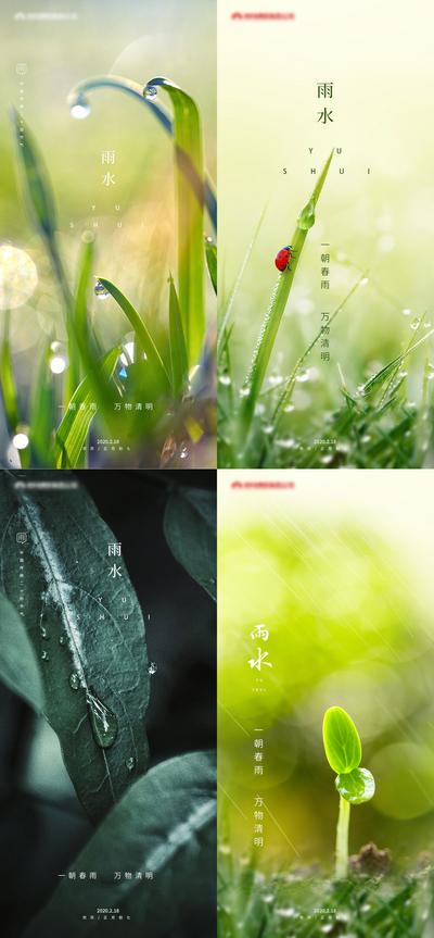 南门网 海报 雨水 二十四节气 简约 雨滴 水珠 绿叶