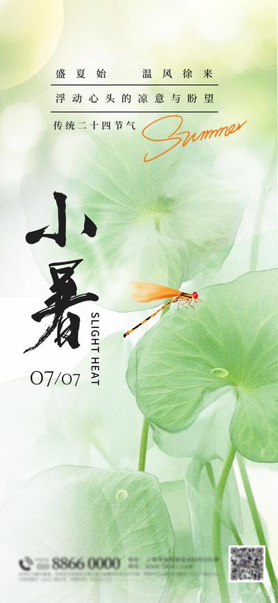 南门网 海报 地产 二十四节气 小暑 荷叶 蜻蜓 夏天