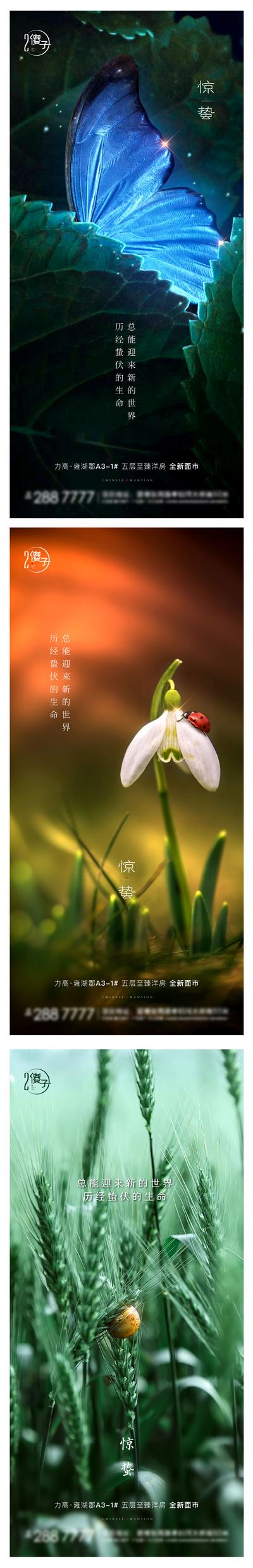 南门网  海报 二十四节气   惊蛰  蝴蝶 花卉 系列