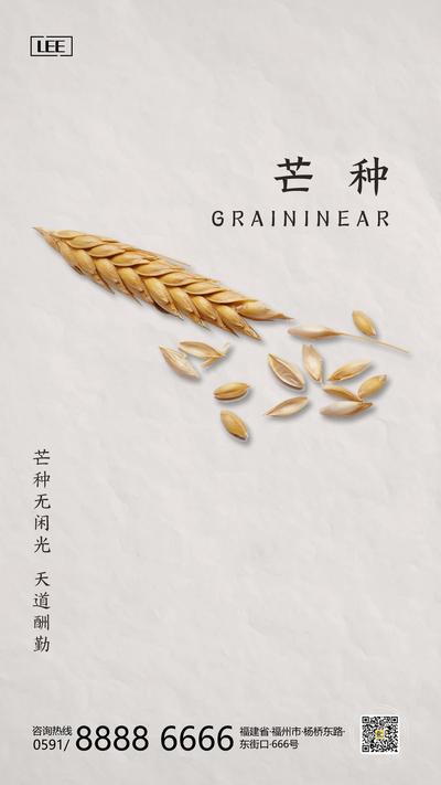 南门网 海报 芒种 二十四节气 麦穗 小麦 麦田