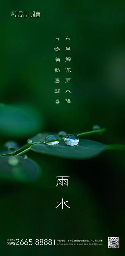 【南门网】海报 房地产 雨水 二十四节气 叶子 露珠