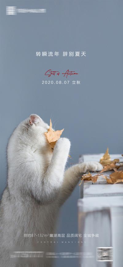 【南门网】海报 房地产 立秋 二十四节气 猫咪