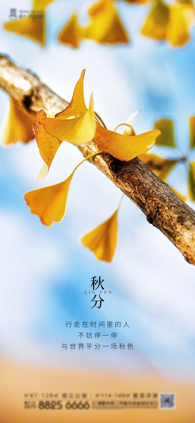 南门网 海报 二十四节气 秋分 叶子 银杏叶