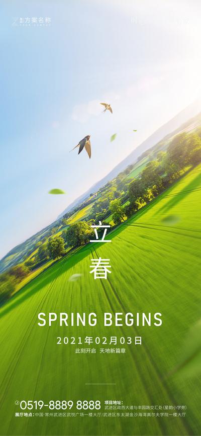 南门网 海报 房地产 二十四节气 立春 春天 绿植