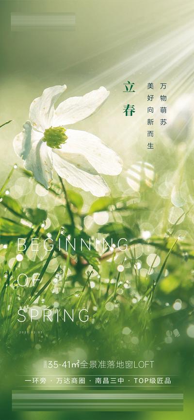 南门网 海报 海报 节气 立春 植物 阳光