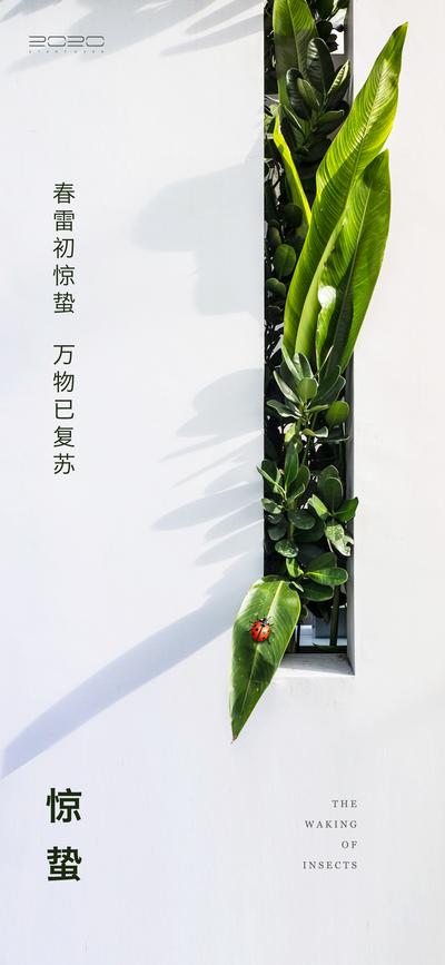 南门网 海报 房地产 二十四节气 惊蛰 绿植