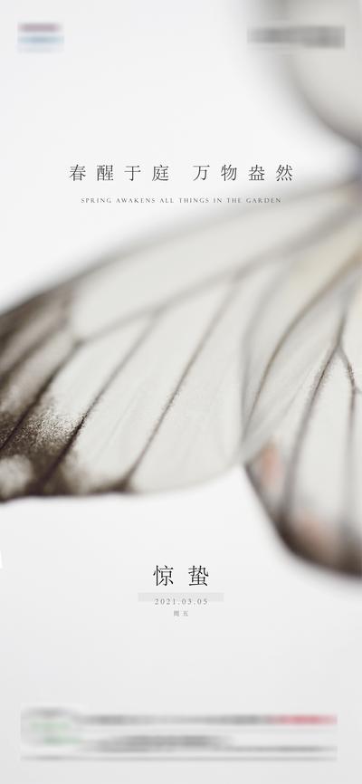 南门网 海报 房地产 二十四节气 惊蛰 蝴蝶 翅膀 简洁  