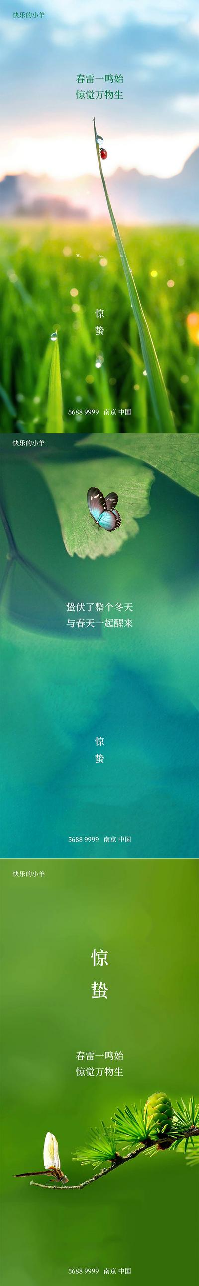 【南门网】海报 二十四节气 房地产 惊蛰 蜻蜓 露水 瓢虫 系列