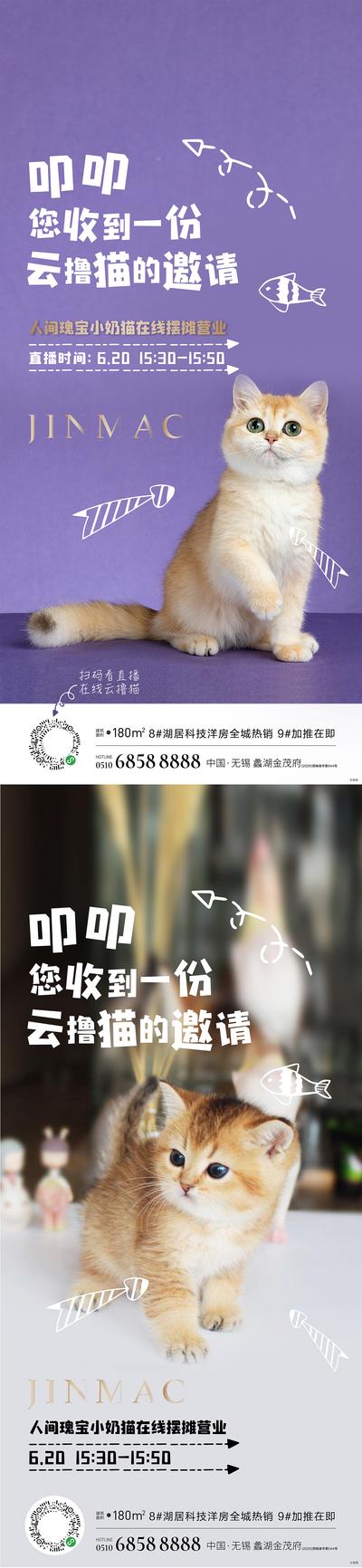 南门网 海报 猫 直播 宠物 简约 系列