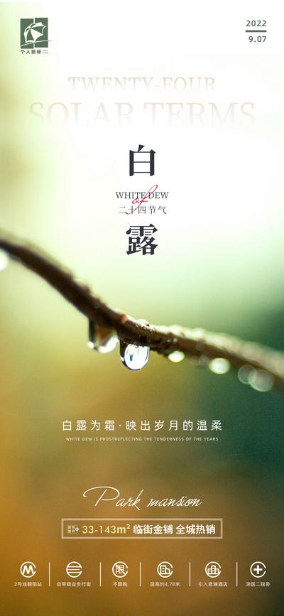 南门网 海报 地产 二十四节气 大气 白露 树枝 雨水 露水