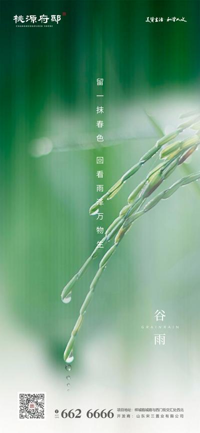 【南门网】海报 二十四节气 谷雨 稻穗 水滴 雨水