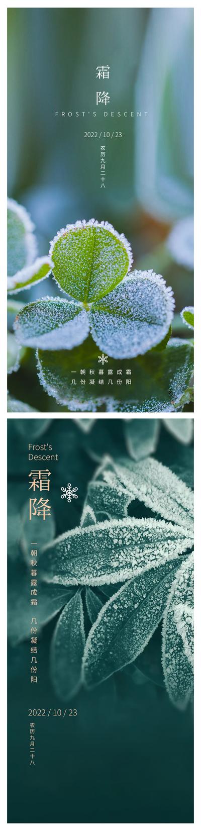 南门网 海报 二十四节气 霜降 绿色 植物 叶子 冰花 系列