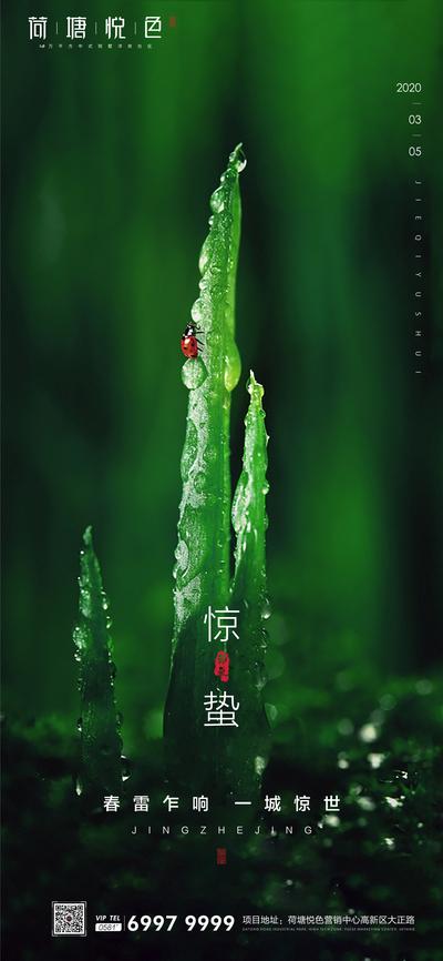 【南门网】海报 房地产 惊蛰 二十四节气 树苗 瓢虫