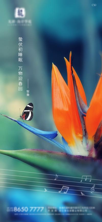 南门网 海报 惊蛰 二十四节气 蝴蝶 花朵