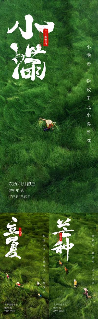 【南门网】海报 二十四节气 小满 芒种 立夏 简约 草地 系列