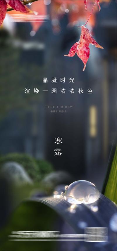 南门网 海报 房地产 二十四节气 寒露 露珠 枫叶